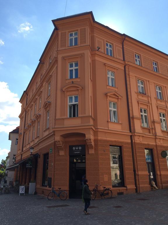 Apartment Loft Ljubljana Bagian luar foto